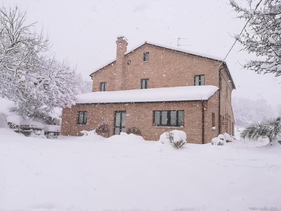 Agriturismo Campo Aperto Belvedere Ostrense Exterior photo